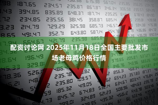 配资讨论网 2025年11月18日全国主要批发市场老母鸡价格行情