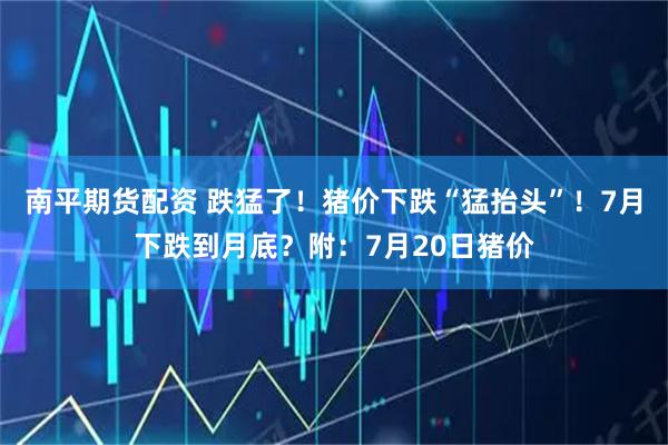 南平期货配资 跌猛了！猪价下跌“猛抬头”！7月下跌到月底？附：7月20日猪价